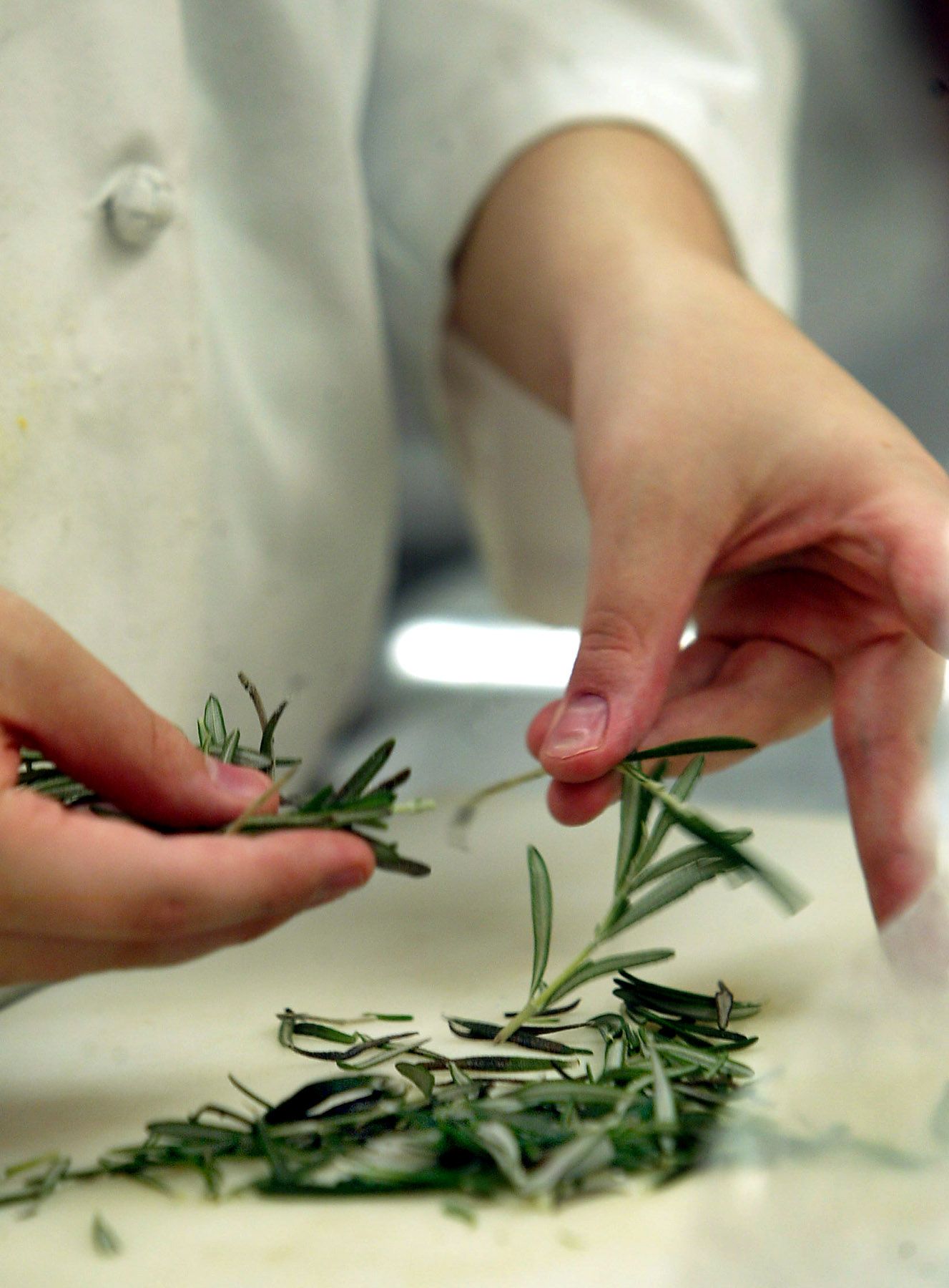 Rosemary: The Herb Of Remembrance