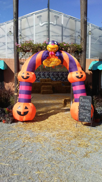 Edward S Garden Center In Forty Fort Offers Halloween Fun For