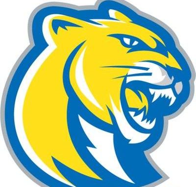 Misericordia Baseball Drops Opening Game Of Super Regional Times