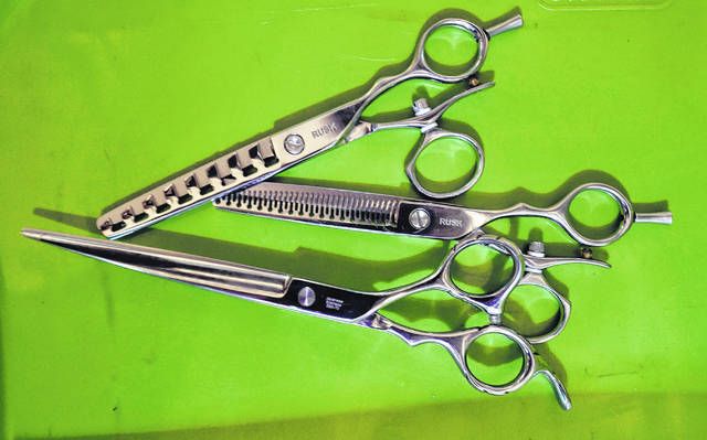 Try our professional hairdressing scissors - Leader