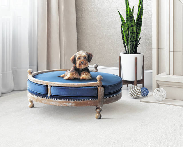 The Latest In Pet Furniture Pieces That Fit A Home S Decor