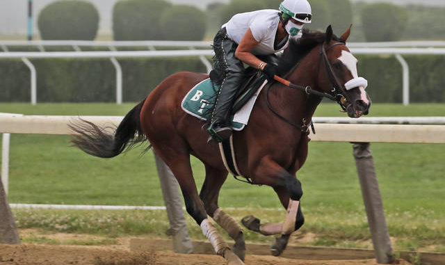  Robin Smullen rides Tiz the Law during a workout at Belmont Park on Friday. Tiz the Law has been installed as a 6-5 favorite to win todays Belmont Stakes. Seth Wenig | AP photo 