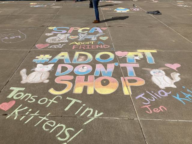 <p>A drawing done in support of the SPCA at ChalkFest. Kevin Carroll | Times Leader</p>