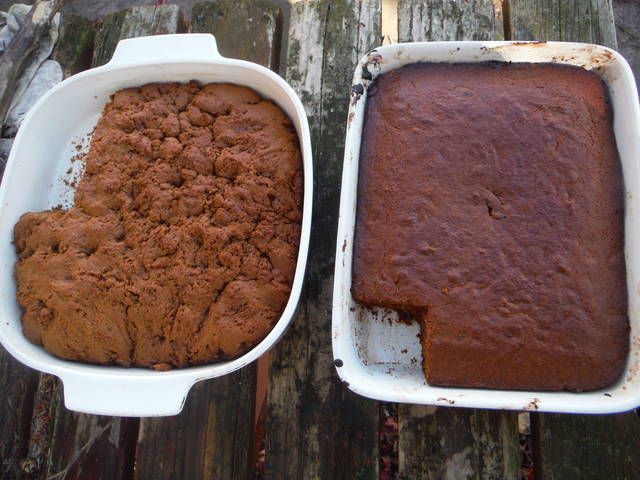 Easy Gingerbread Cake Recipe - The Mountain Kitchen