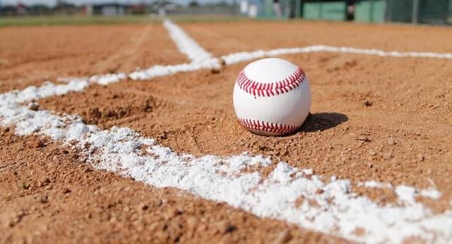 Local Roundup: Wilkes-Barre Area edges Berwick in WVC Division 1 baseball | Times Leader