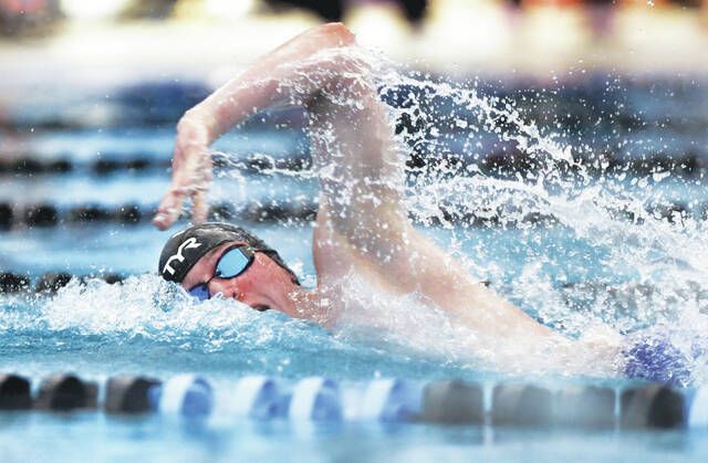 Hazleton Area boys capture District 2 Class 3A swimming