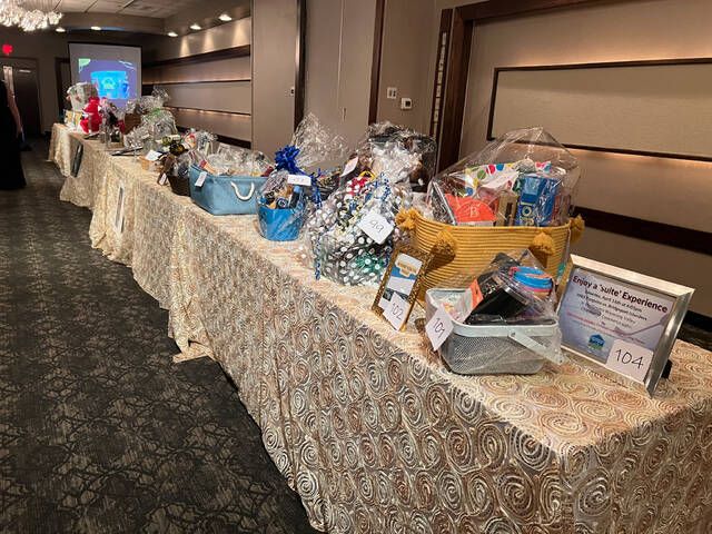 <p>Just a few over the over 102 items that were available during the WVCA’s wildly popular online silent auction.</p>
                                 <p>Ryan Evans | Times Leader</p>
