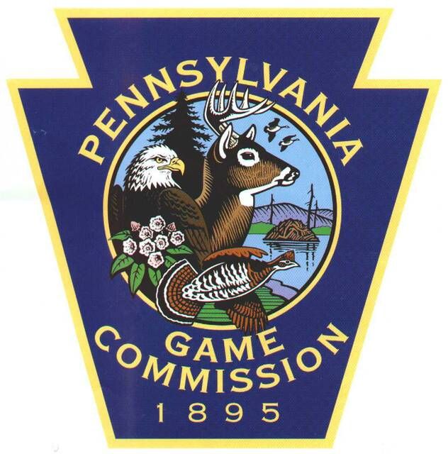 Pa. Game Commission announces hunting licenses to go on sale June
