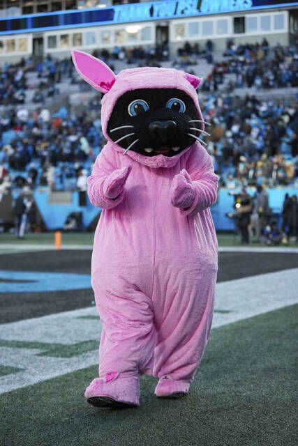 carolina panthers pink