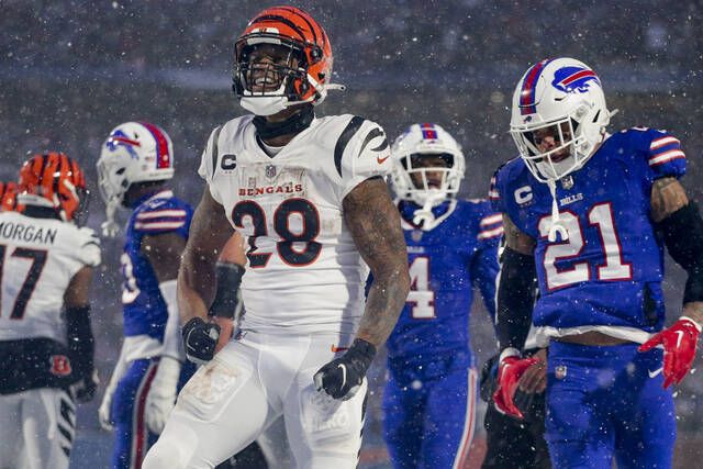 Bengals Maul Bills; Return to AFC Championship – BRODY'S BLOG