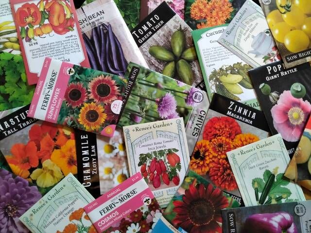 Penn State Master Gardeners plan seed exchange | Times Leader