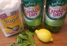 
			
				                                A syrup made of sugar, water and mint, added to ginger ale and ice, was the basis for the non-alcoholic mint juleps. Our test cook also offered lemon for people to add a twist, if they wanted.
                                 Mary Therese Biebel | Times Leader

			
		