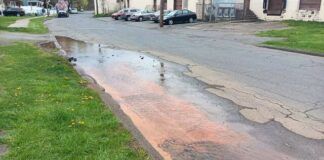 
			
				                                Water bubbles to the surface on Simpson Street in Swoyersville on Wednesday. The DEP stated this typically occurs ever 5-6 years.
                                 Times Leader File Photo

			
		